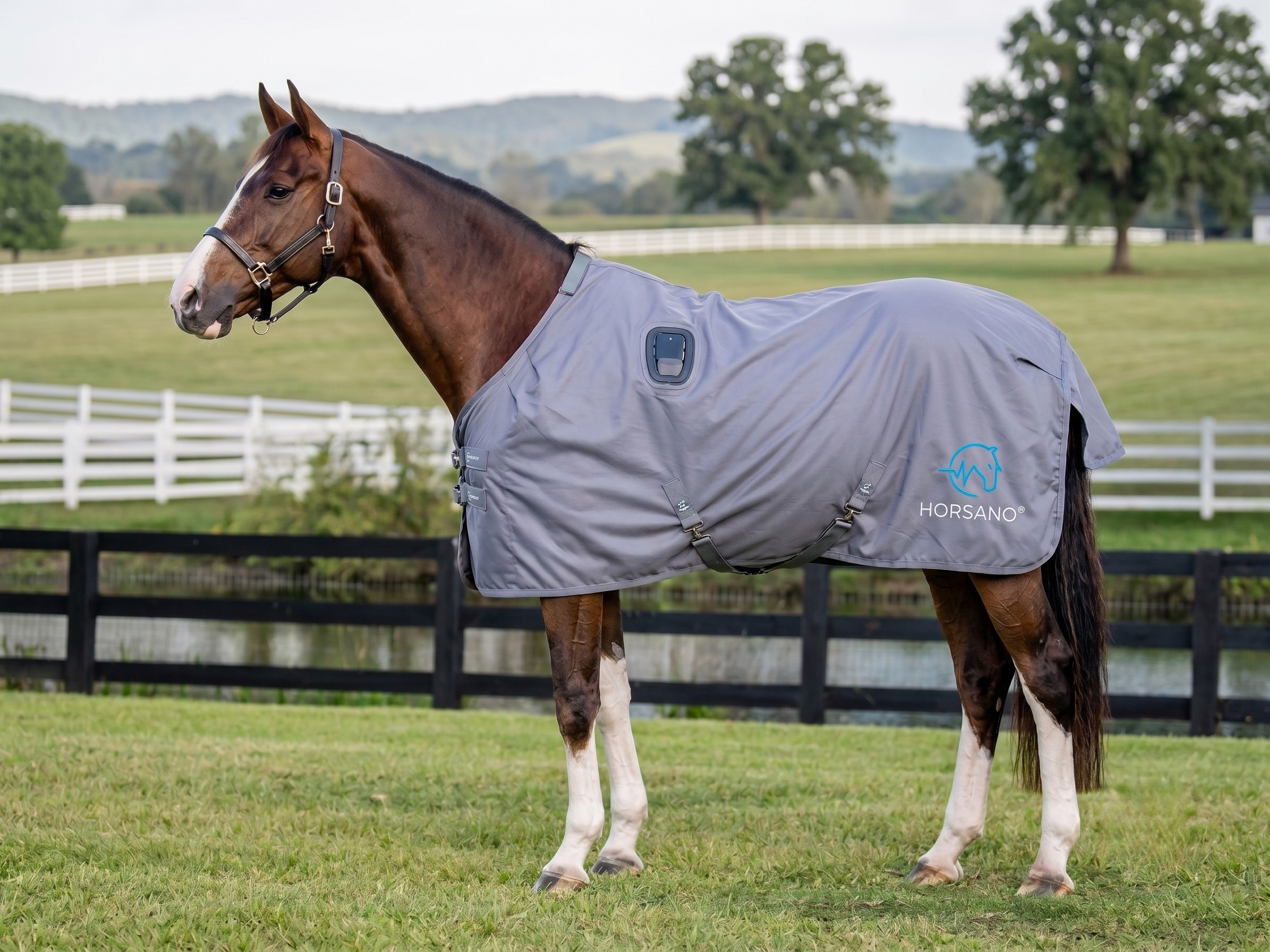 Lightweight Horsano fly sheet